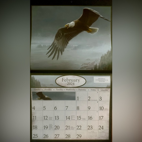 CALENDAR 2024 ART OF NATURE: Pelee Island Observatory Art Of Birds. - Picture 4 of 16